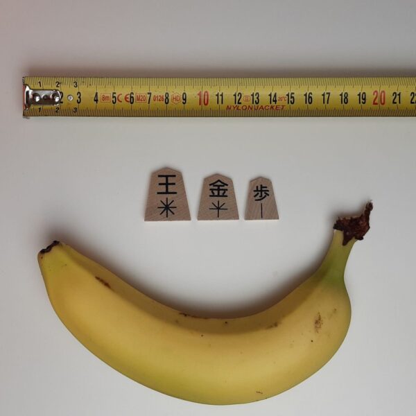 International / Westernized Shogi Set with Arrows and Japanese 1-Kanji
